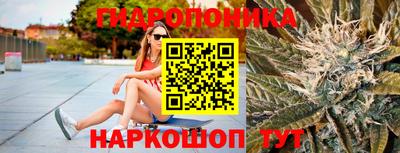 мдпв Пушкино