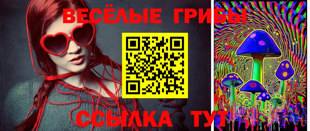 Псилоцибиновые грибы прущие грибы Сертолово