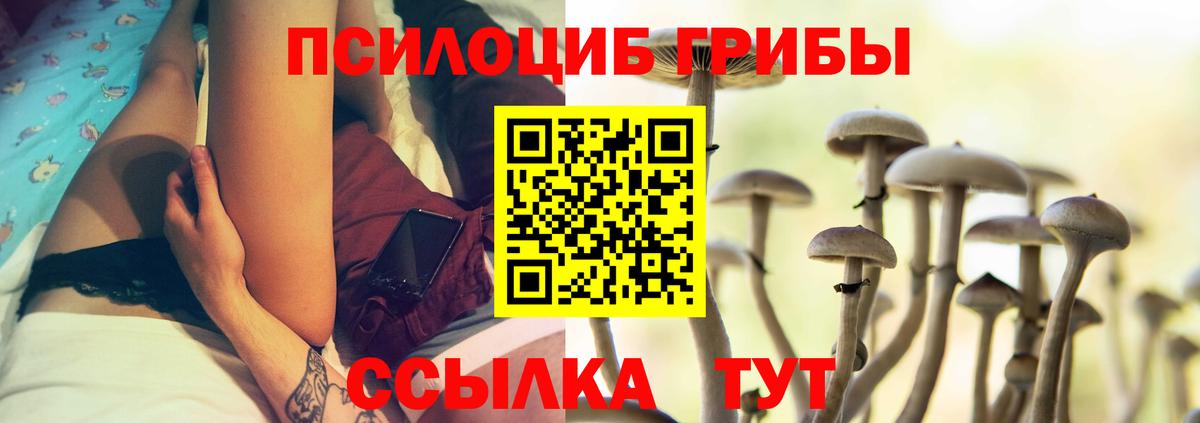 Галлюциногенные грибы MAGIC MUSHROOMS  магазин  наркотиков  Сертолово  Вход с VPN 